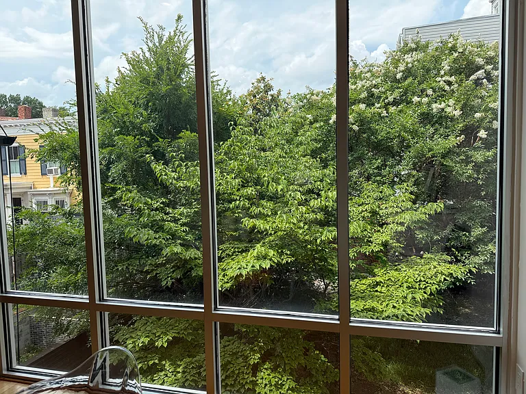 Wall of windows facing the garden trees from the dining room.
