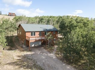 3324 High Creek Rd, Fairplay, CO 80440