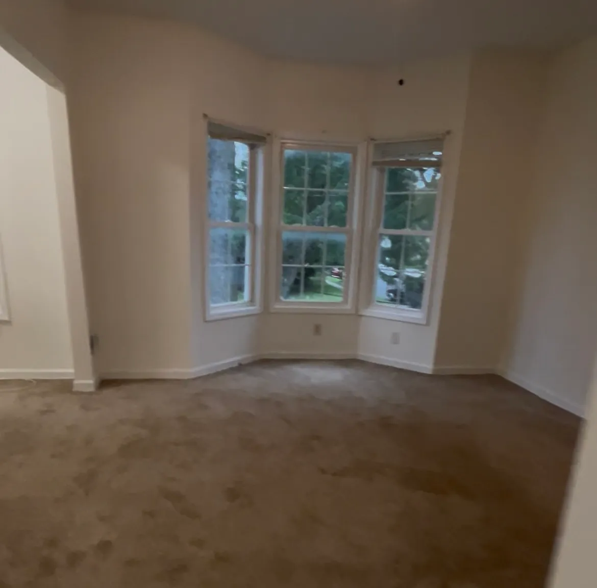 3 bed, 1100 sqft, $2,000 — Photo 3