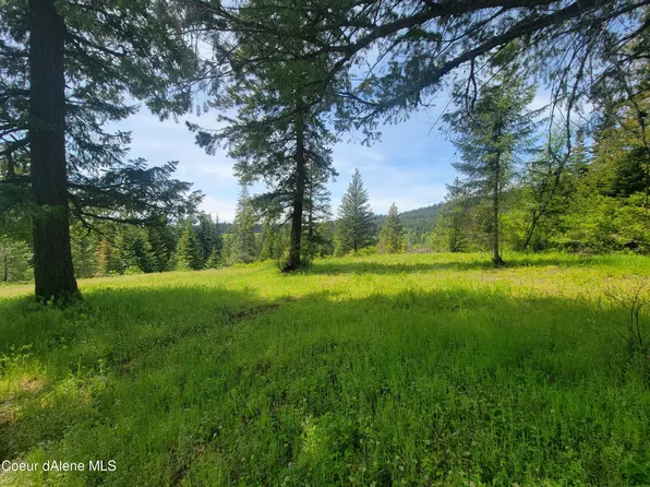 Nka Stott Rd Lot 2, Harrison, ID 83833