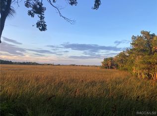 11803 W Timberlane Dr, Homosassa, FL 34448