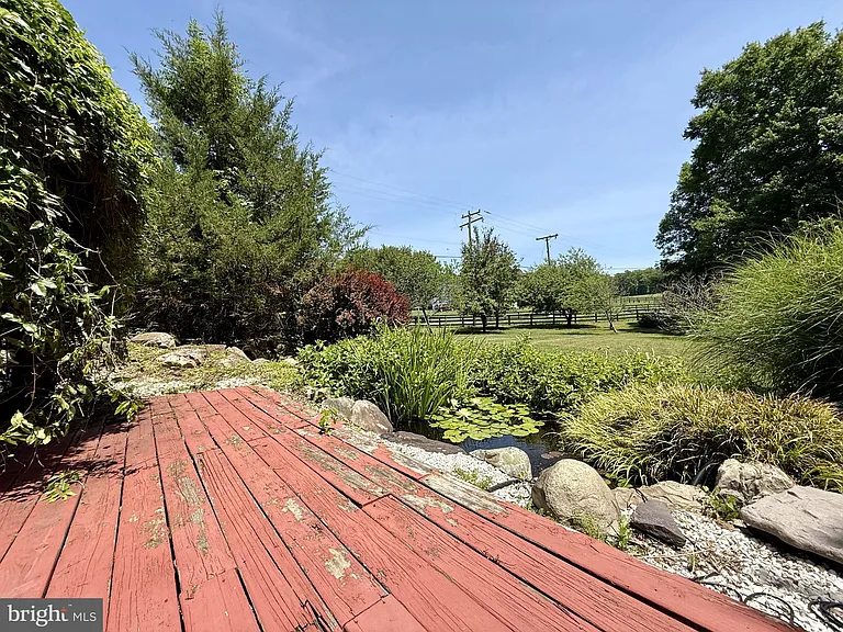 559 Holly Corner Rd — Photo 50