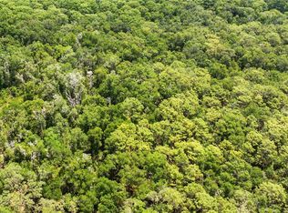 0 SE 134th Ct LOT 1, Weirsdale, FL 32195
