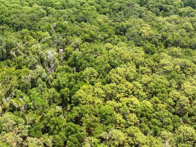 0 SE 134TH COURT LOT 1, Weirsdale, FL, 32195