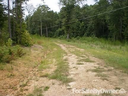 Driveway : Driveway as it curves behind house on the main street.