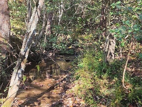 2nd image of LOT 4 Green Hill Ln