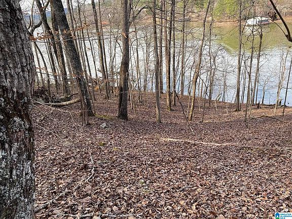 5th image of Mohawk Cliff Rd #5