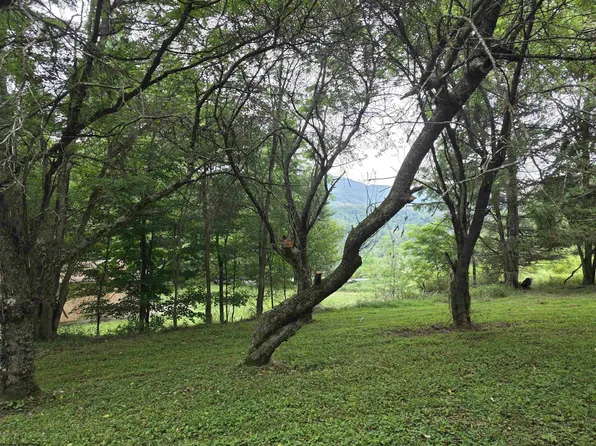 169 Wilma Lee Memorial Dr, Bowden, WV 26254