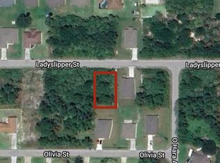 532 Ladyslipper St SW, Palm Bay, FL 32908