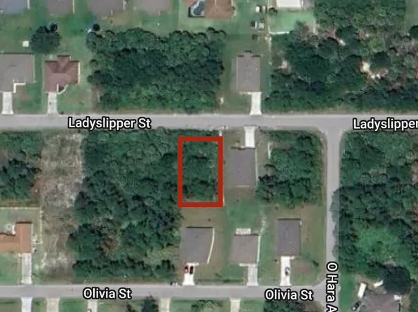 532 Ladyslipper St SW, Palm Bay, FL 32908