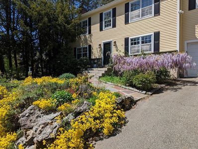 67 Walnut Hill Rd, Newton, MA, 02459