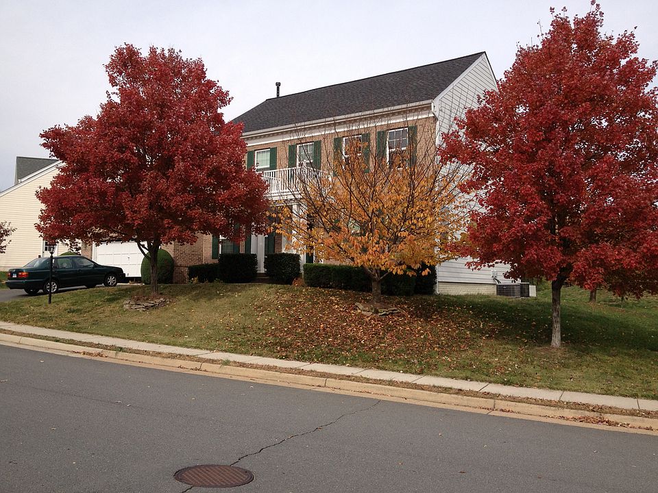 1st image of 20042 Alexandras Grove Dr