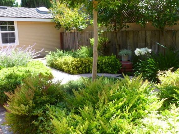 View Of Back Garden 2