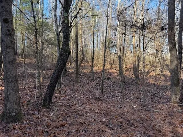 5 County Road 751 Lot 5, Valley Head, AL 35989
