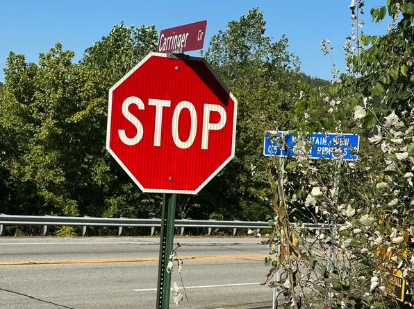 Carringer Cir, Tellico Plains, TN 37385