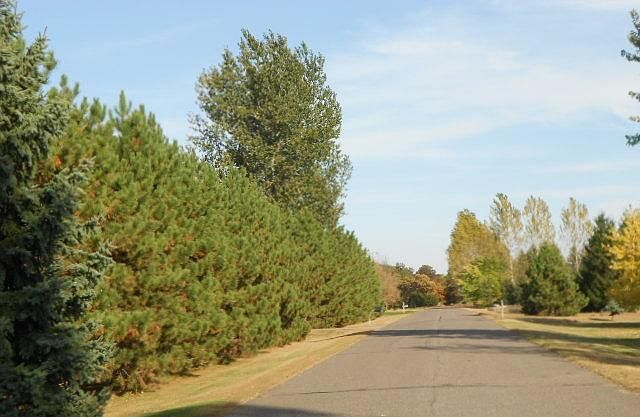 2nd image of 1960 208th Ln NW