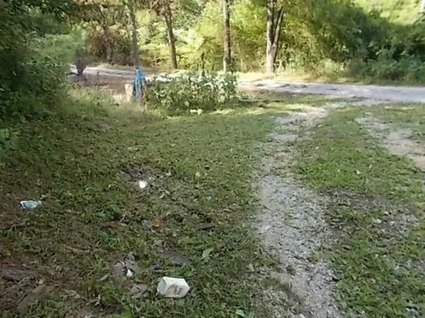 125 Cotula Ln, Duff, TN 37729