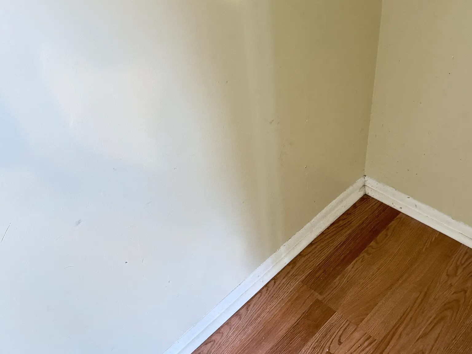 3 bed, 1648 sqft, $2,400 — Photo 3