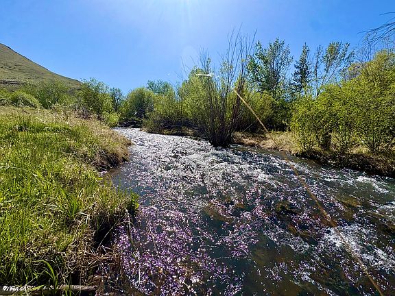 3rd image of 9885 Challis Creek Rd