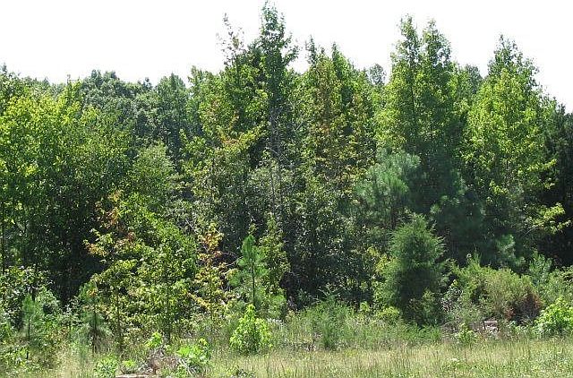 2nd image of 3627 Paschall Rd