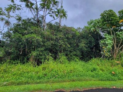 N Manalo St, Pahoa, HI, 96778