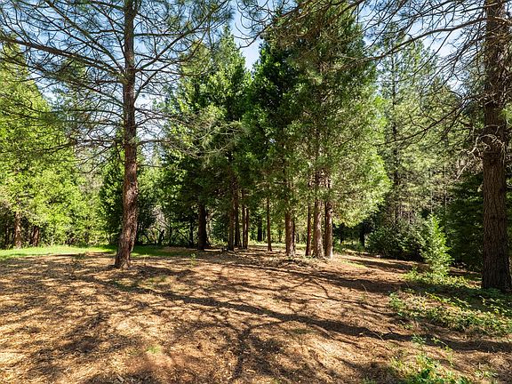 4th image of 202 Gold Flat Rd