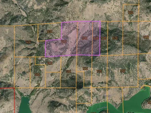 11220 Yellow Dog Trl, Hornbrook, CA 96044