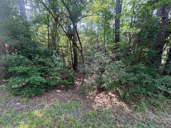 LOT 12 Victoria Dr, Brookeland, TX 75931