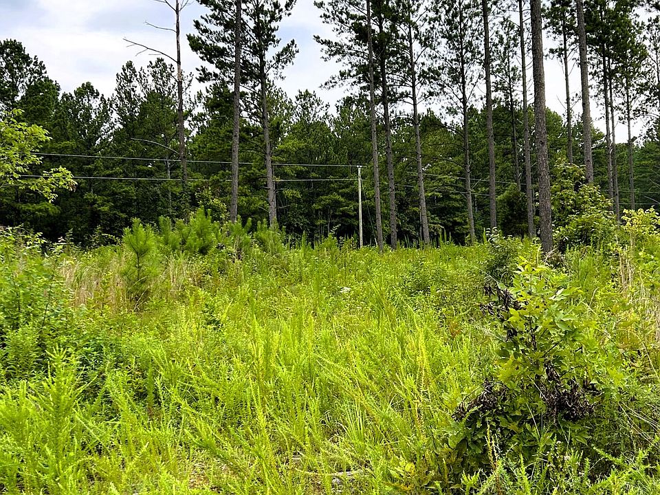 2nd image of TRACT 7 Hughes Lake Rd SE