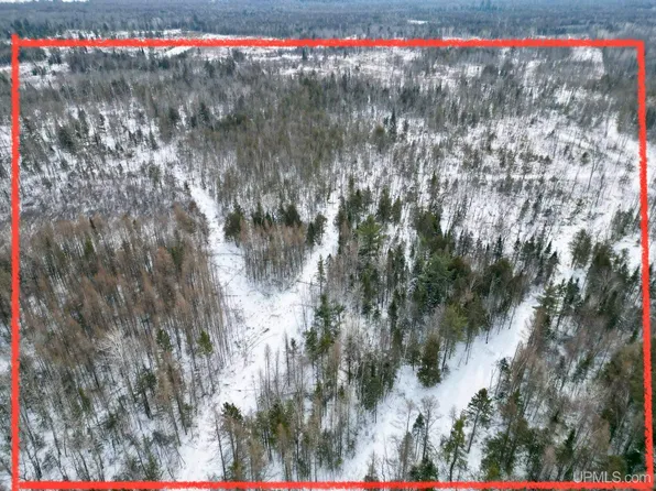 8 Road, Bark River, MI 49807