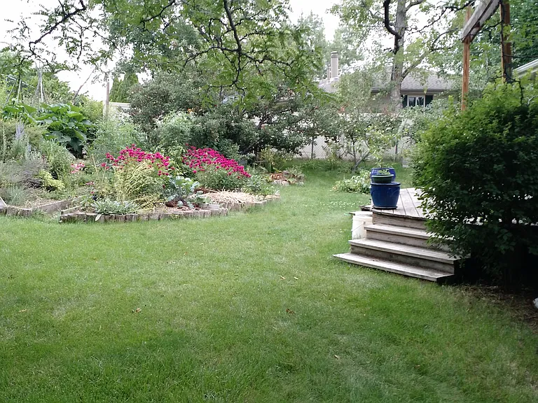 Backyard. (Photo taken from side yard.)