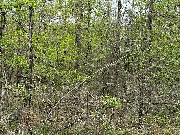 3rd image of 0 Charlie Kie Rd