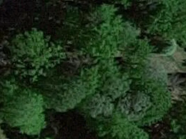 5163 Tilmann Ln, Weidman, MI 48893