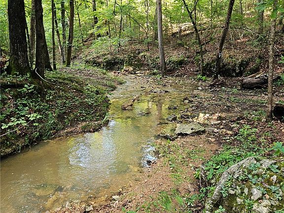 5th image of 10974 Ricks Dr