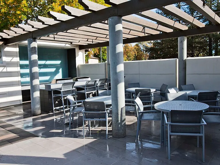 Outdoor lounge with barbecue grills and dining area