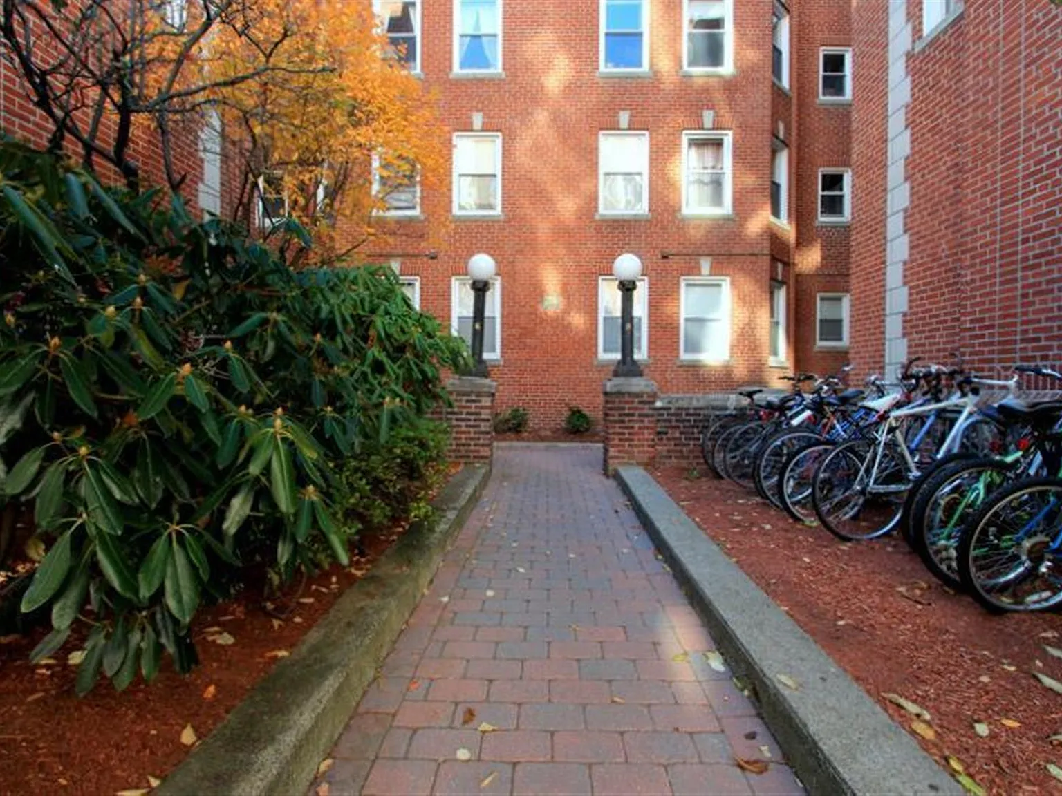 1 bed, $3,000 — Photo 4