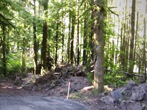 4th image of E John Lake Rd