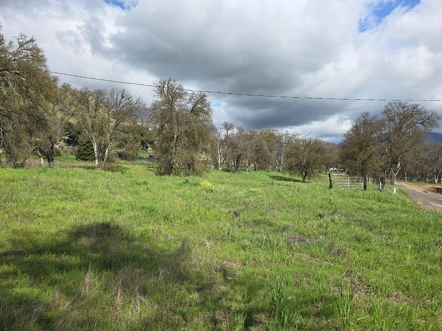 29962 Watts Valley Rd photo 1