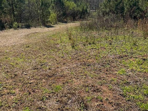 5th image of 3875 N Mount Zion Rd