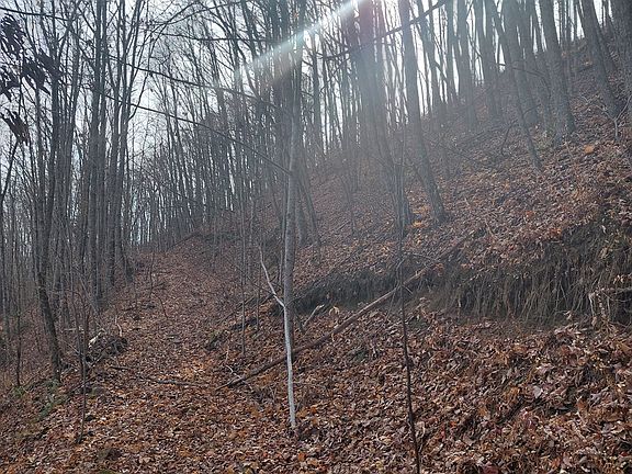 2nd image of 0 Lands Creek Rd