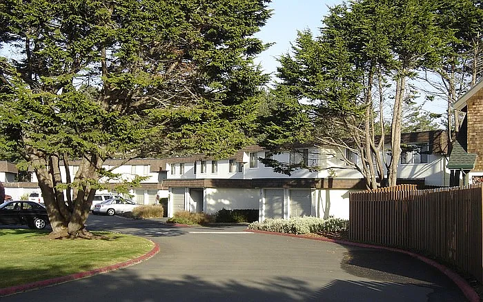 521 Cypress St — Photo 2