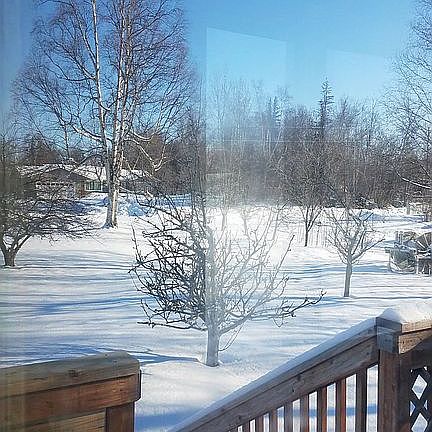 Back Deck