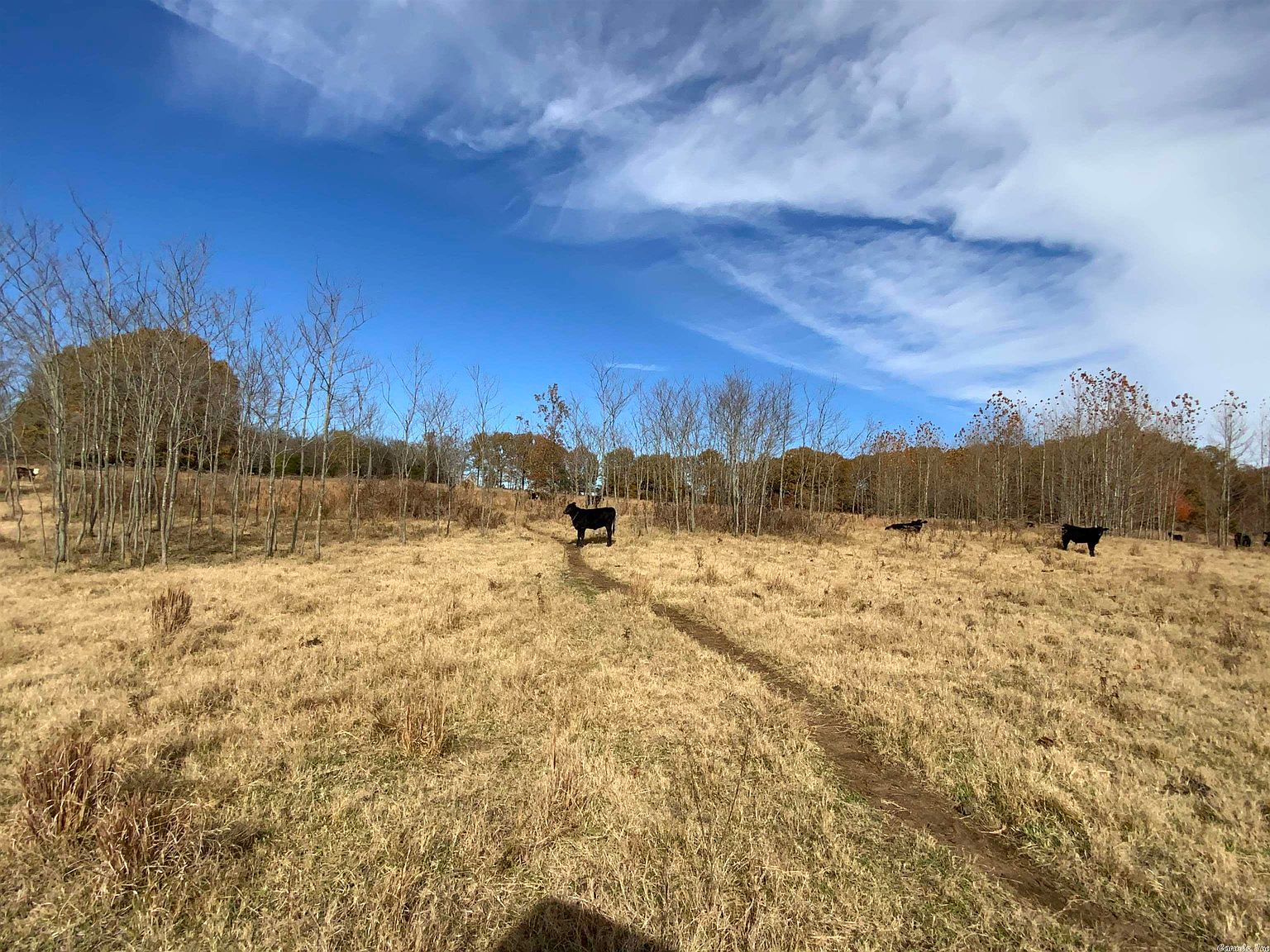 0 Steel Springs Rd, Strawberry, AR 72469 Zillow