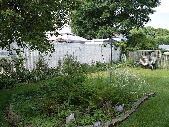 Back yard