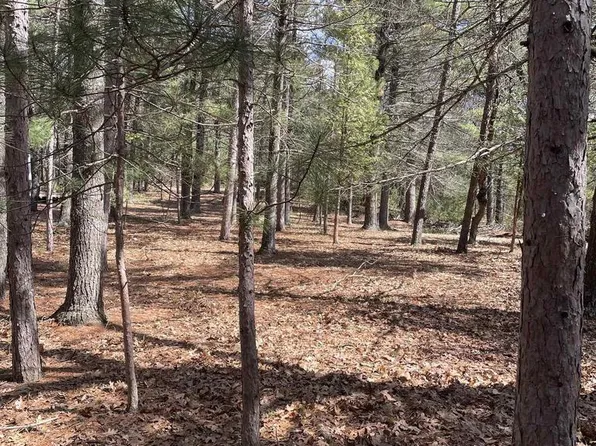 1924 DEERPATH ROAD, Arkdale, WI 54613