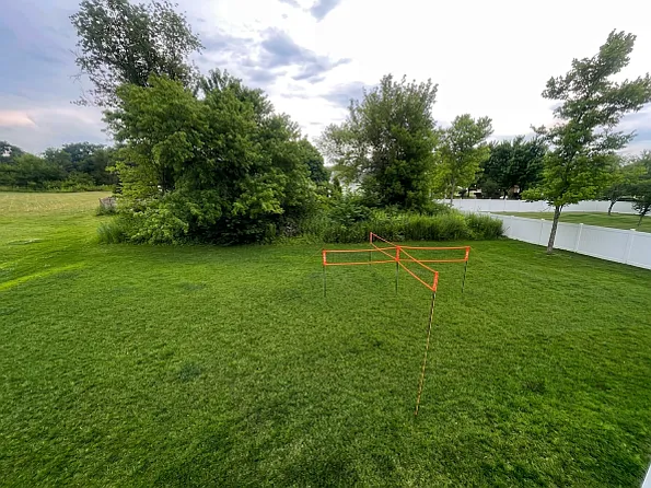 Backyard. Area with trees is part of property