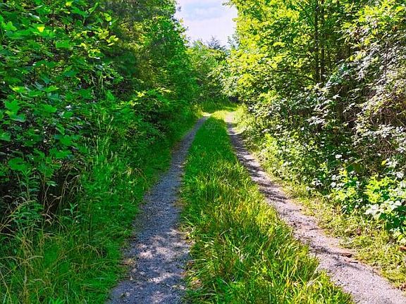 3rd image of Lantana Rd