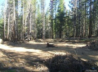 141 Rafferty Dr, Leadville, CO 80461