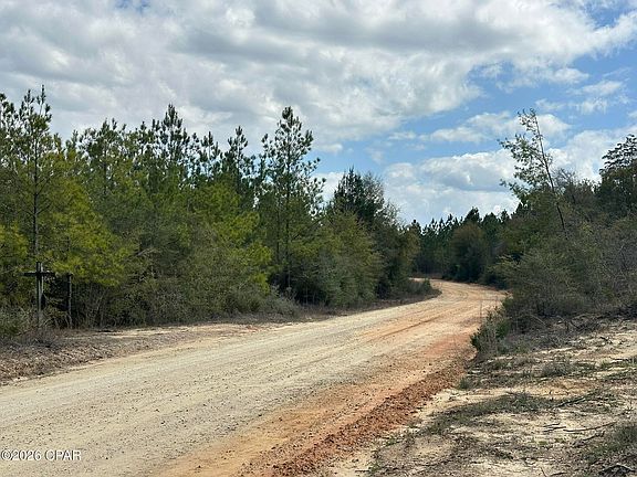 4th image of TRACT Mattox Springs Rd N #2