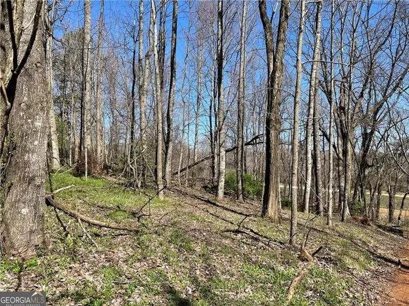 645 Nimblewill Church Rd, Dahlonega, GA 30533